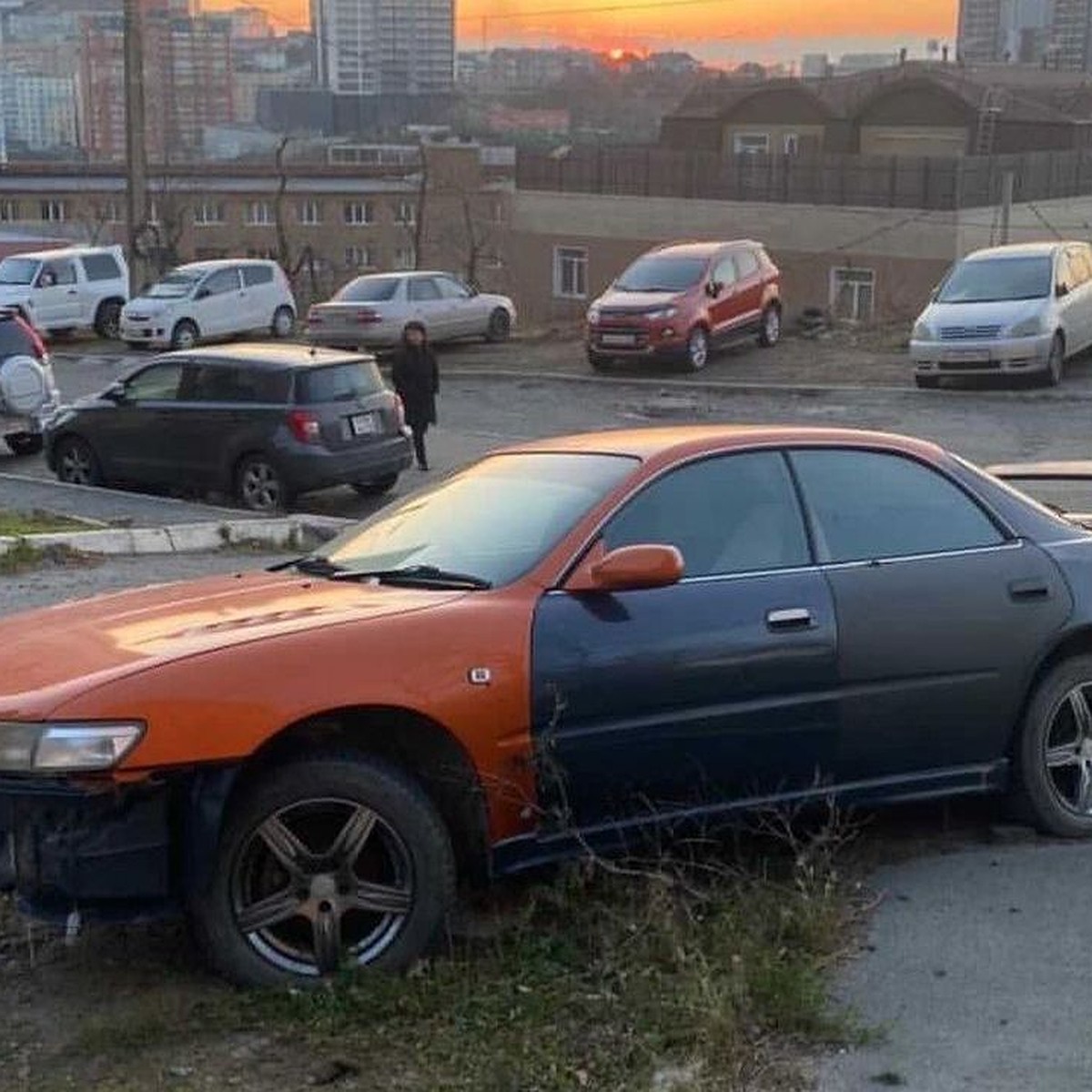 Во Владивостоке очередной хозяин двора не дает спокойно жить людям - KP.RU