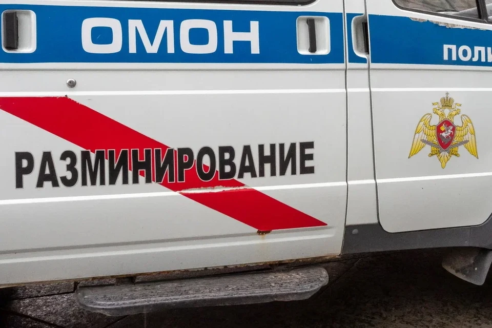 В Комарово обнаружили дюжину минометных мин.