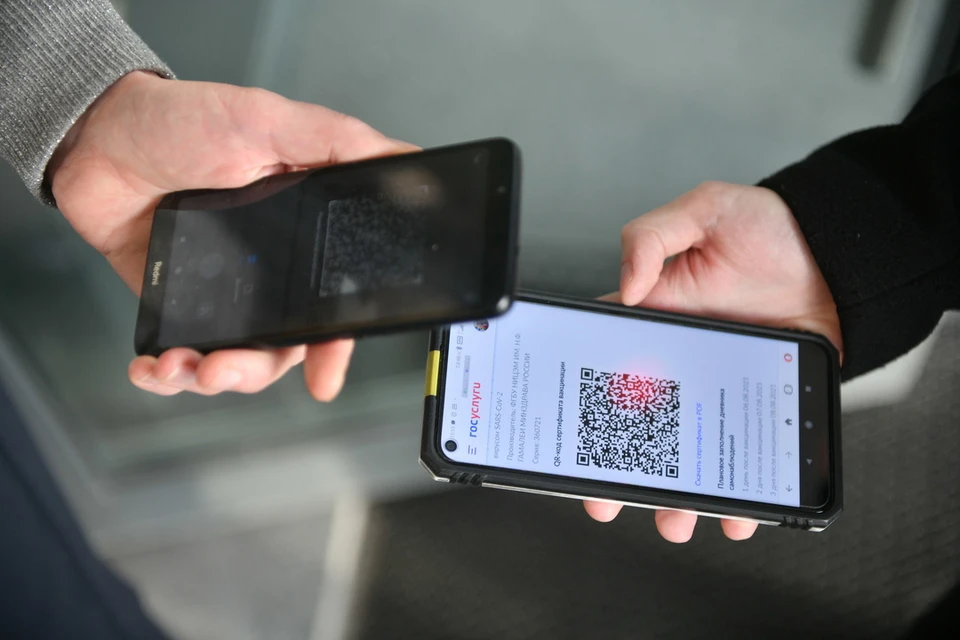 QR-коды в области ввели с 12 ноября