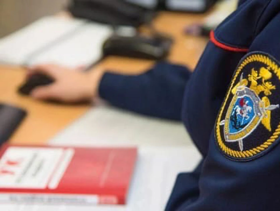50-летняя смолянка напала на полицейских, которые пытались ей помочь. Фото: пресс-служба СУ СКР по Смоленской области.