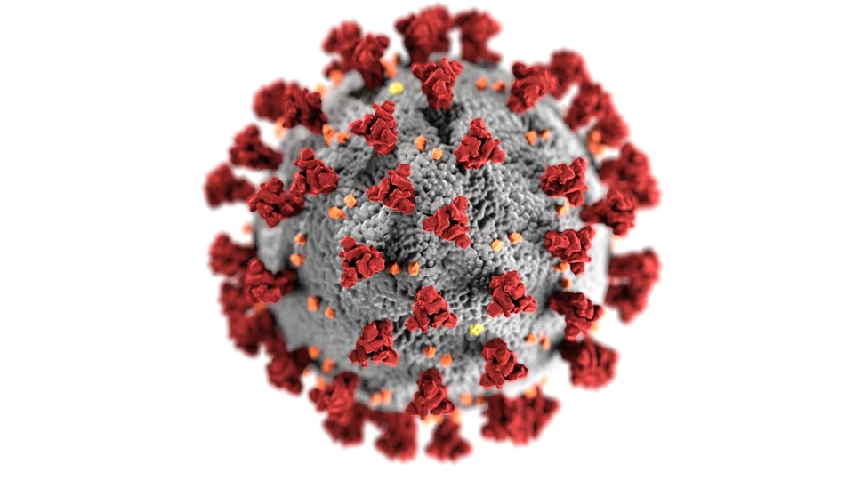 За последние сутки коронавирус подтвердился у 187 ижевчан. Фото: pexels.com