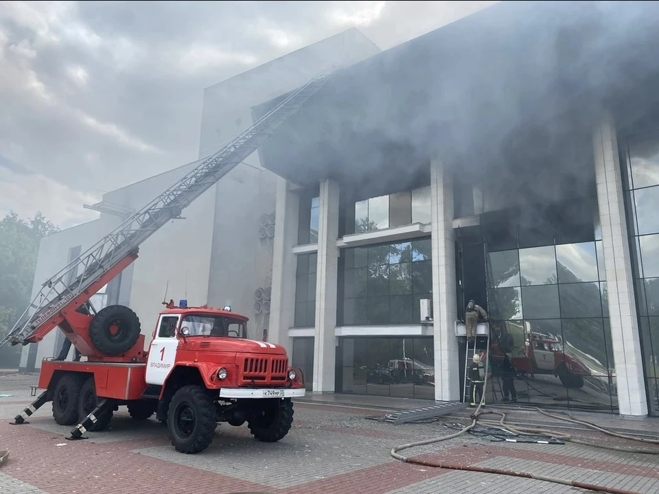 Пожар произошел в июне 2020 года. Фото: ГУ МЧС по Владимирской области