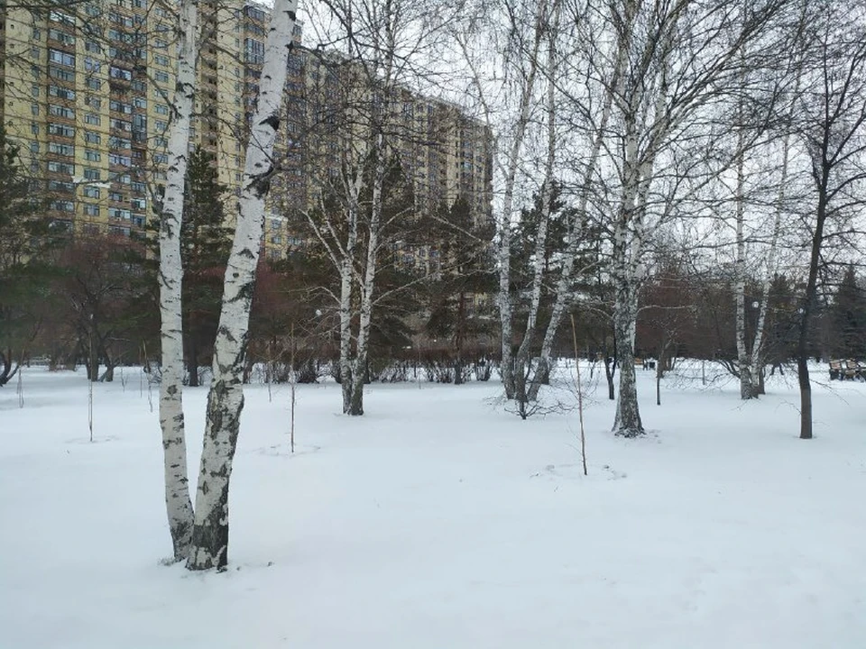 В Тюмени немного похолодает.
