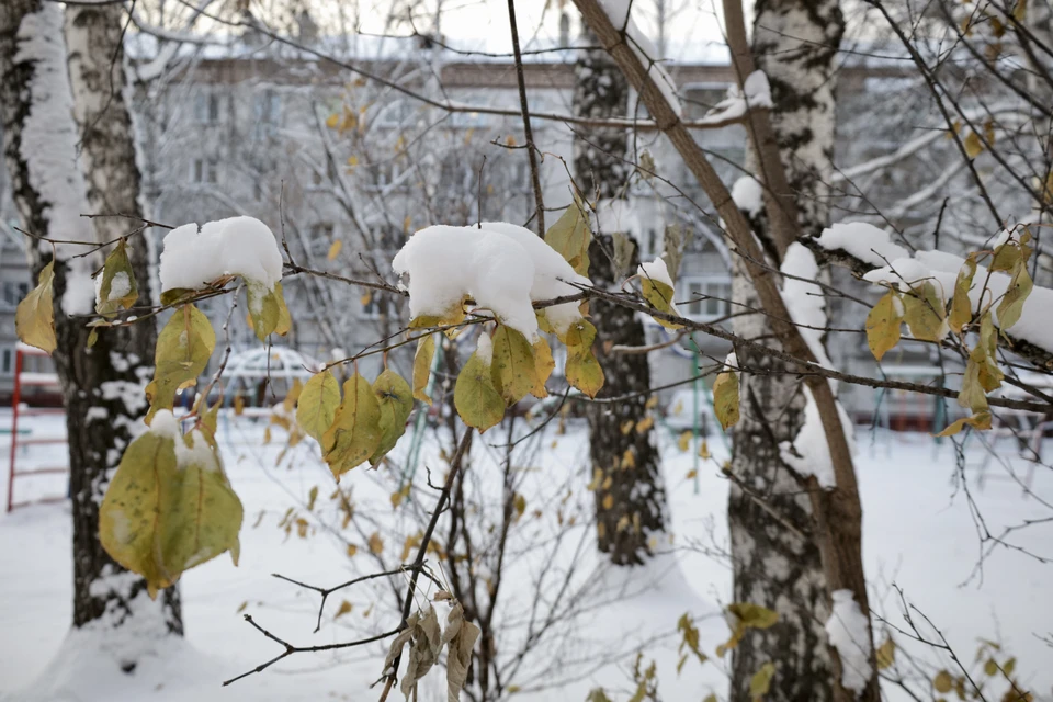 В некоторых районах на севере ожидается температура до -4°С.