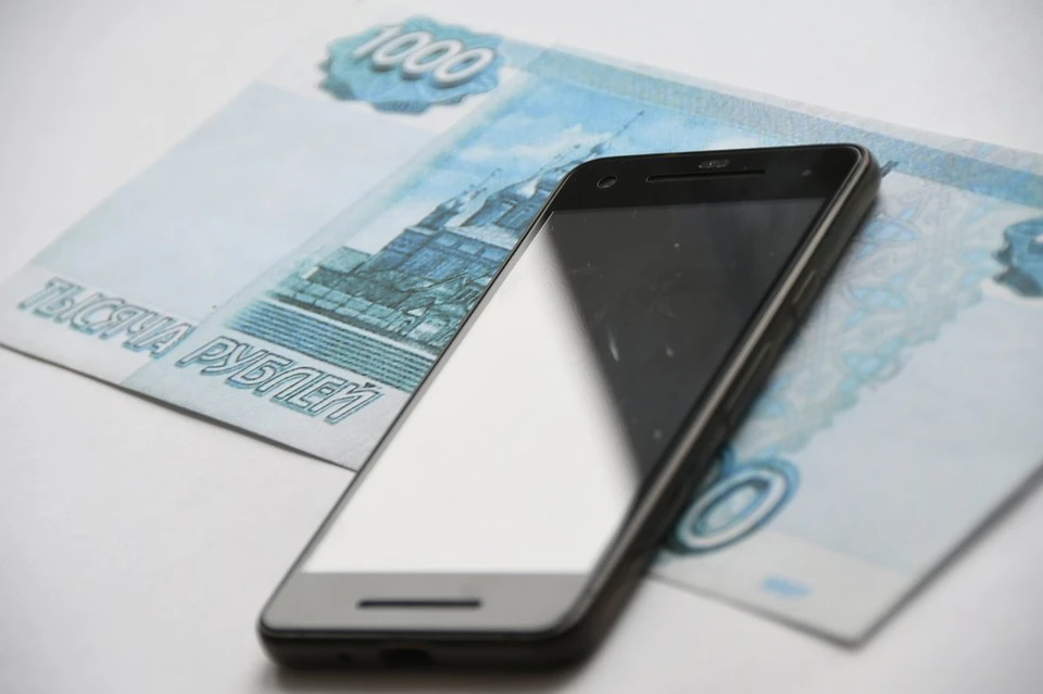 В Новомосковске Тульской области безработный рецидивист украл смартфон