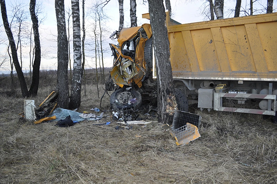 Фото: УГИБДД по Брянской области.