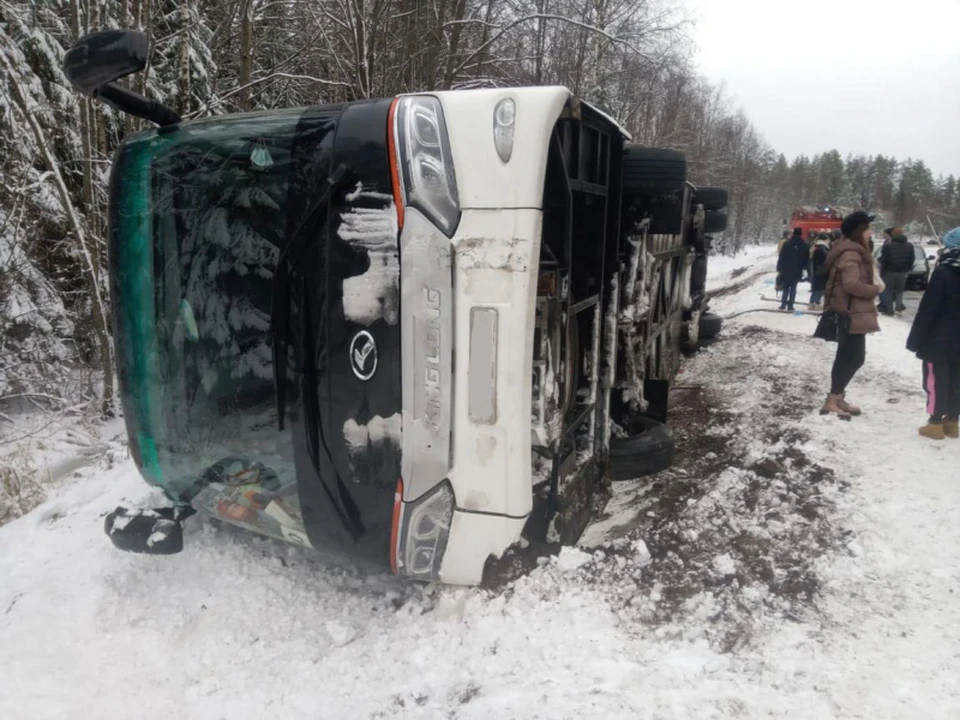 В Карелии в ДТП с автобусом пострадали шесть человек. Фото: пресс-служба МВД по Республике Карелия