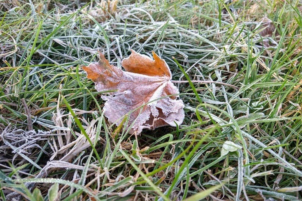 Изморозь в Краснодаре и крае наблюдалась и утром 25 ноября