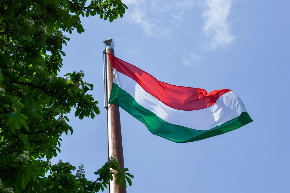 Власти Венгрии ограничили въезд туристов из ряда стран Южной Африки