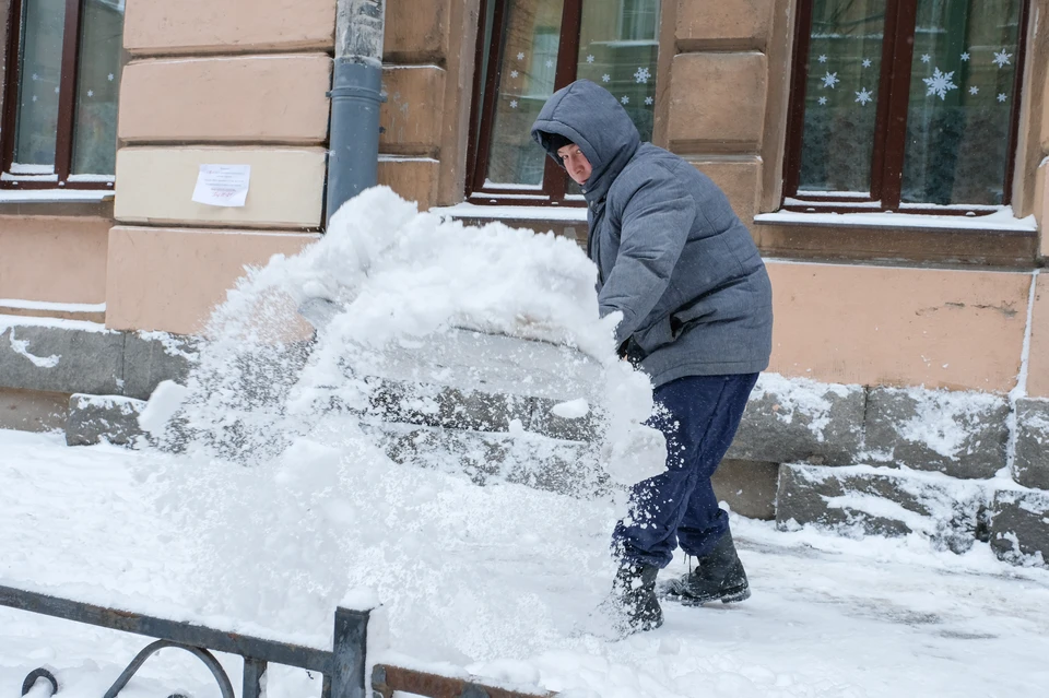 Петербург засыпало снегом.