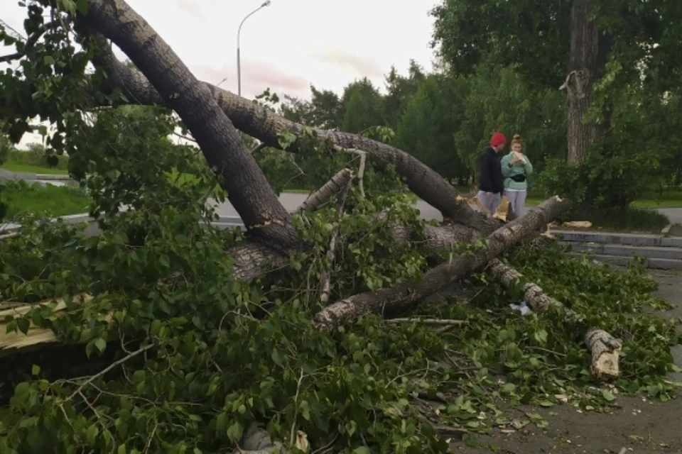 В Курске объявлено штормовое предупреждение