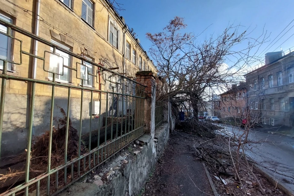 На Ростов обрушились ливень и сильный ветер. Фото: управление по делам ГО и ЧС Ростова