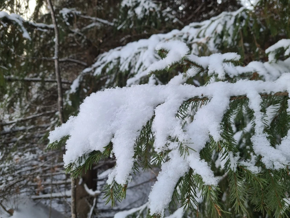Погода в Югре на 2 декабря 2021 года: снегопад и сильный ветер