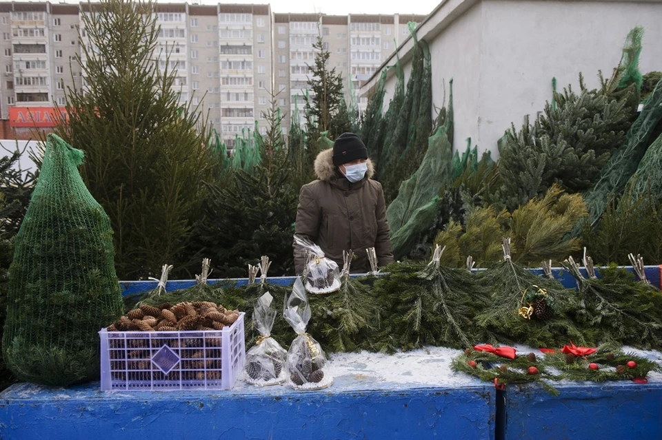 Елочный базар адреса. Елочный базар красивый. Елочные базары 2021. Елочный базар внешний вид. Сувенир елочный базар.