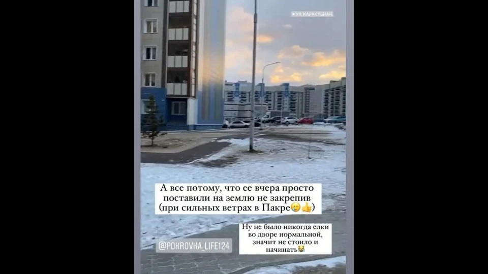 В Красноярске на Караульной ветер снес новогоднюю елку. Фото: скриншот из видео pokrovka_life124