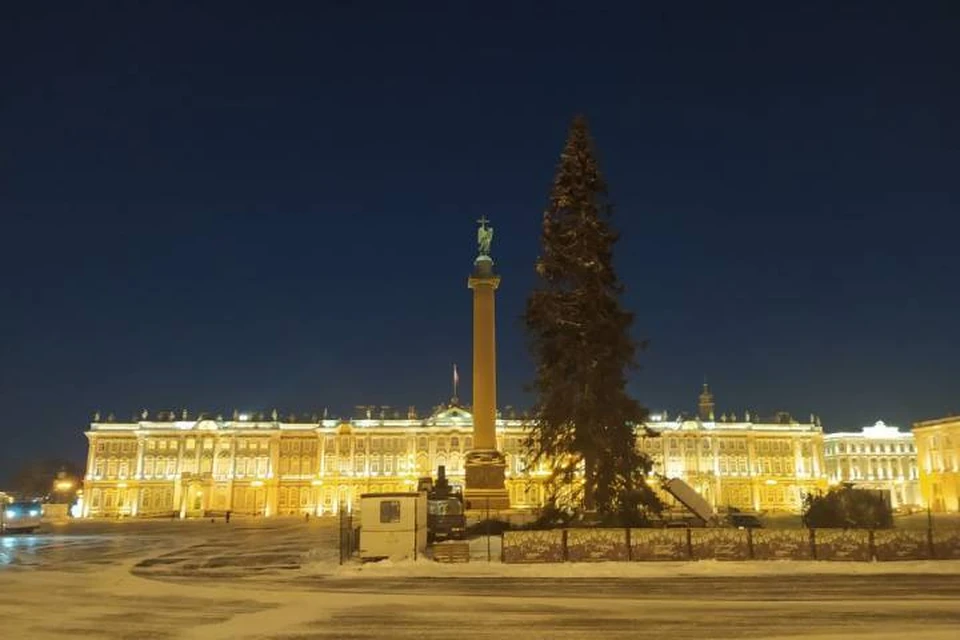 Главную новогоднюю ель Петербурга установили на Дворцовой площади