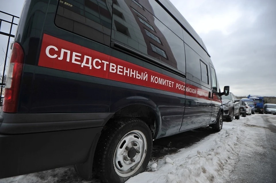 По решению суда женщина должна заплатить штраф в размере 20 тысяч рублей