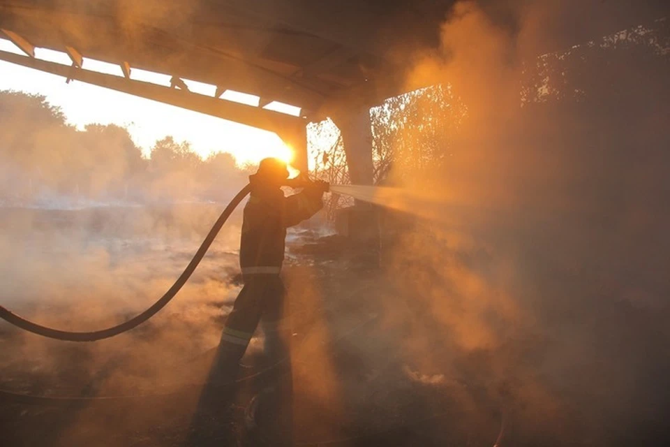Спасатели ДНР за сутки ликвидировали 7 пожаров. Фото: МЧС ДНР