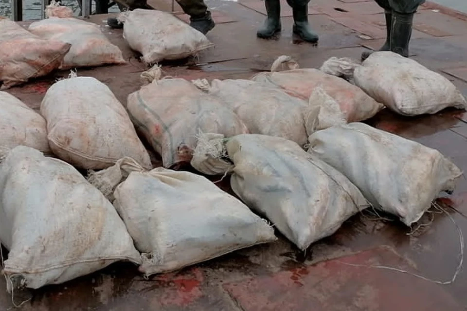 Полтонны незаконного улова нашли у трех рыболовов. Фото: пресс-служба ПУ ФСБ по Ростовской области