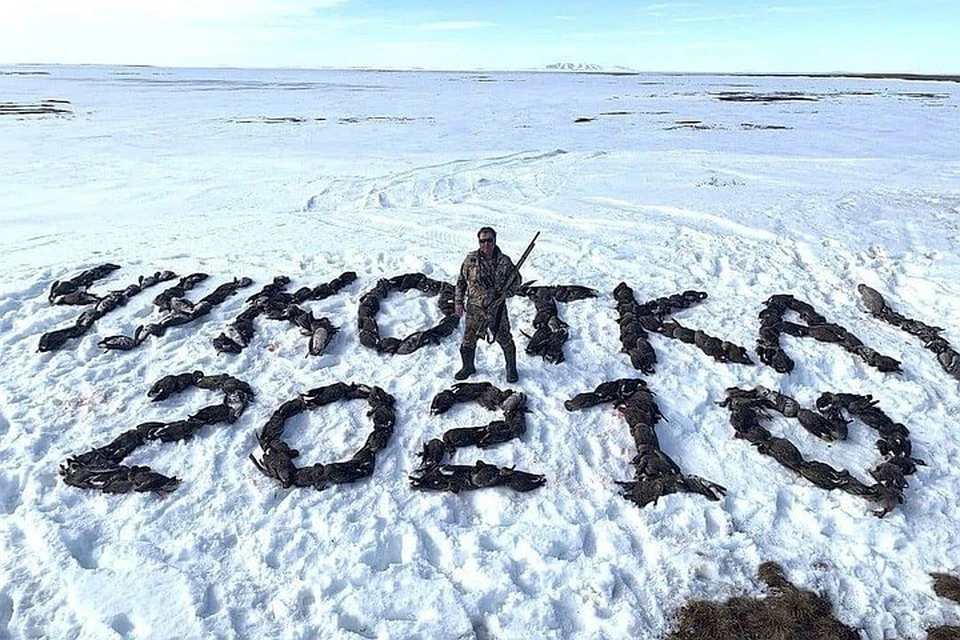 На жутких снимках, сделанных в 60 километрах от Анадыря, человек с ружьем позирует в центре надписи «Чукотка! 2021»