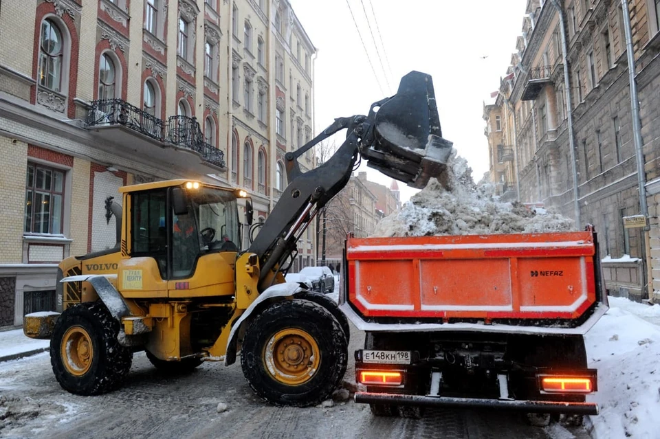 В Петербурге за три недели выпала месячная норма осадков.