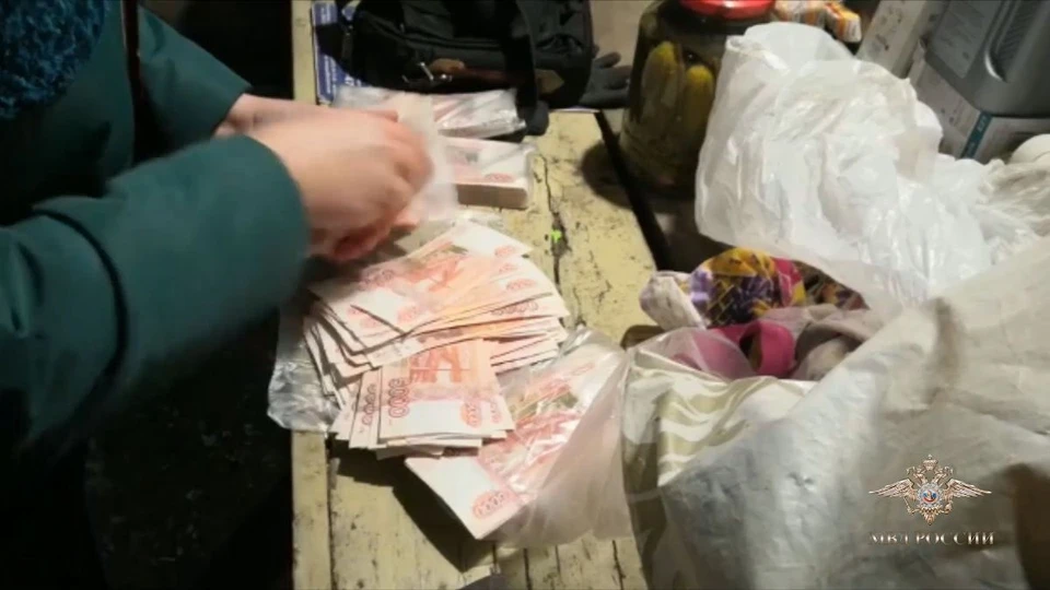 Полицейские пересчитывают найденные миллионы. Фото: скриншот из видео МВД
