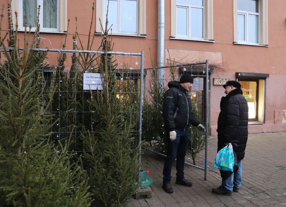 Пход за елкой по нынешним временам - удовольствие недешевое.