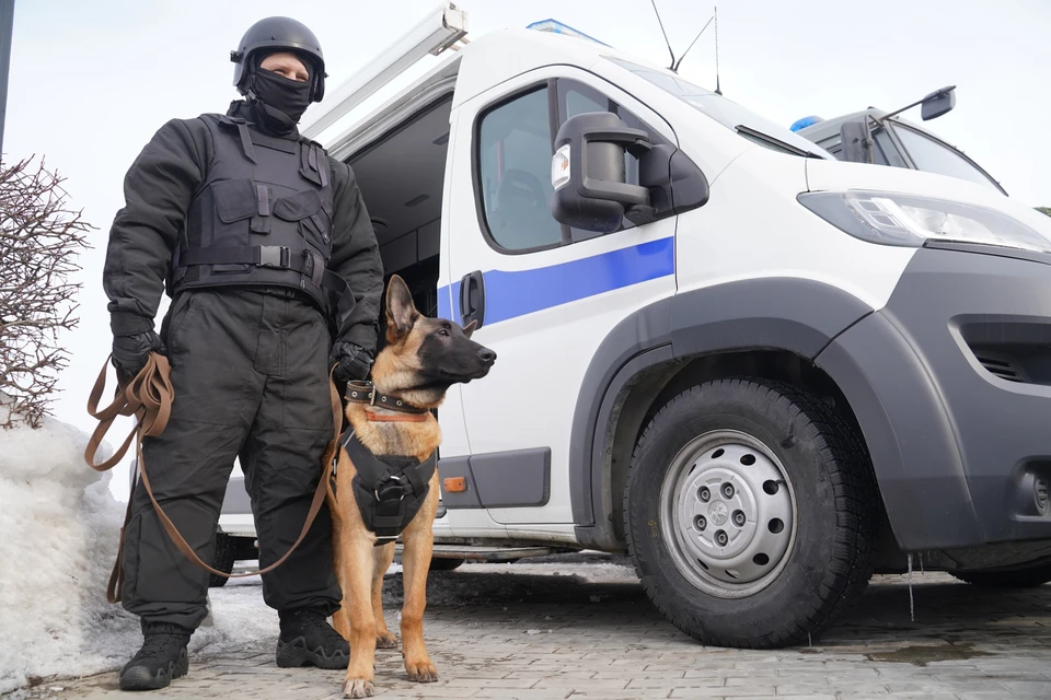 Сыщики допросили более 20 свидетелей, было проведено более 10 судебных экспертиз