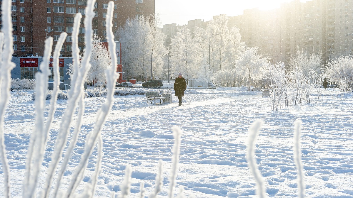 Потепление в санкт петербурге. Санкт-Петербург зимой. Потепление зимой. Резкое потепление зимой. Резкое потепление в СПБ.