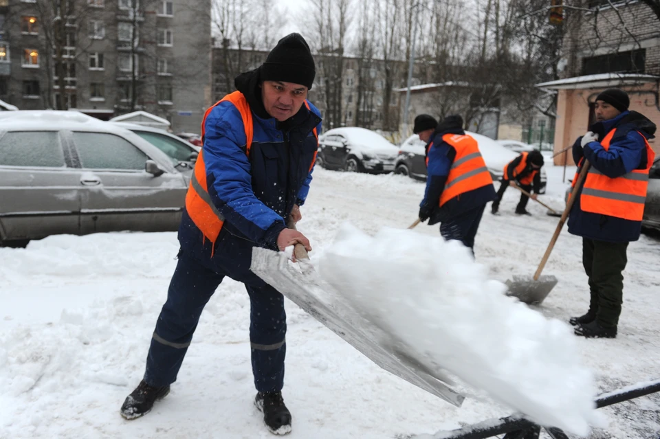 В снегопады Петербургу очень не хватает дворников.