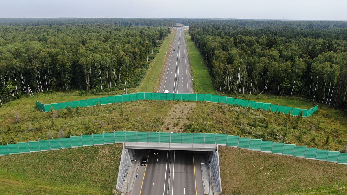 Первый за Уралом экодук введут в эксплуатацию вместе с обходом Кемерова -  KP.RU