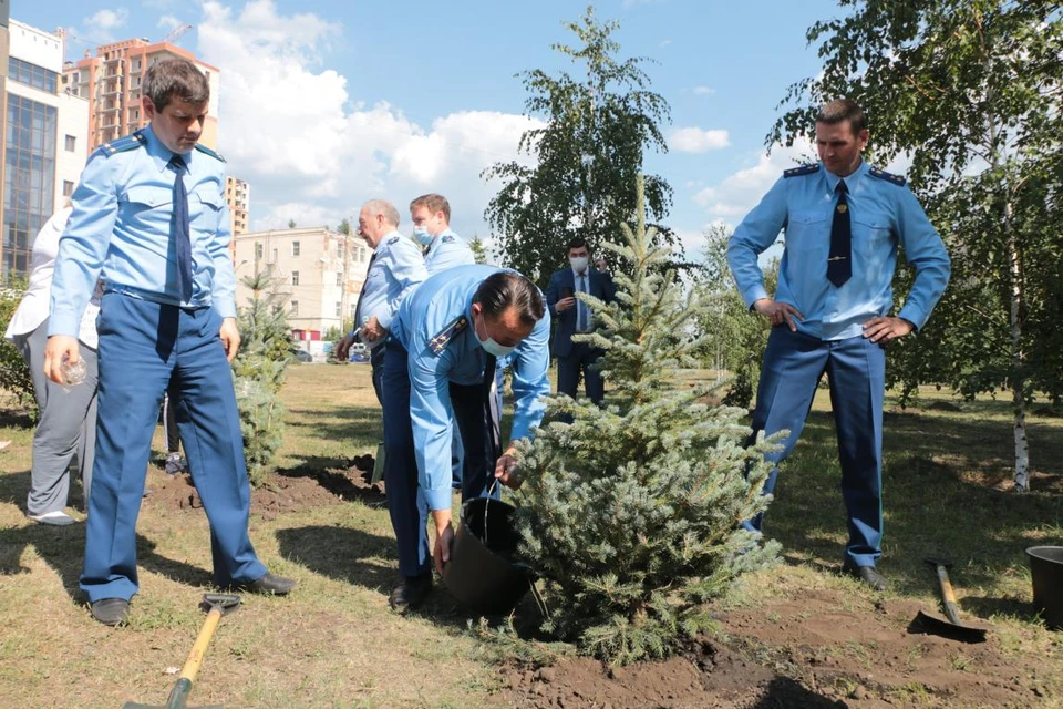 Летом этого года в парке имени Алексея Казанника высадили хвойные деревья. В мероприятии принял участие сын юриста, прокурор Дмитрий Казанник (на фото слева). Фото: прокуратура Омской области.