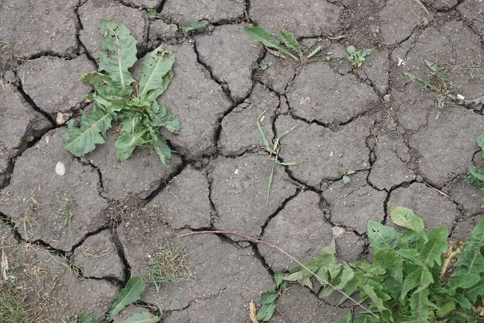 В республике после зимы может наблюдаться засушливость почвы.