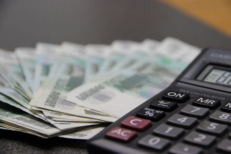 В Хабаровском крае социально ориентированные НКО смогут возместить расходы за счет бюджета