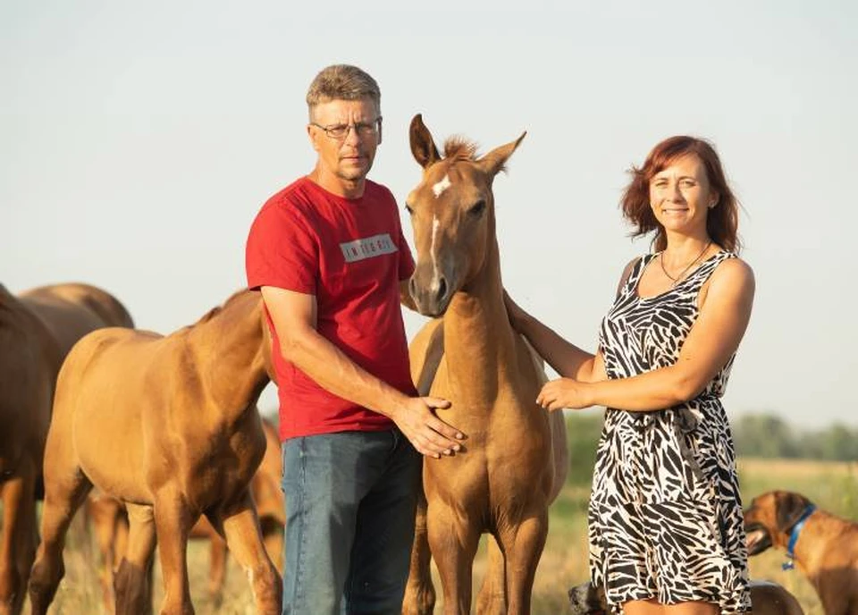 Надежда Скрипкина и Дмитрий Савицкий связали свою жизнь с лошадьми. Фото: Ольга Алехина