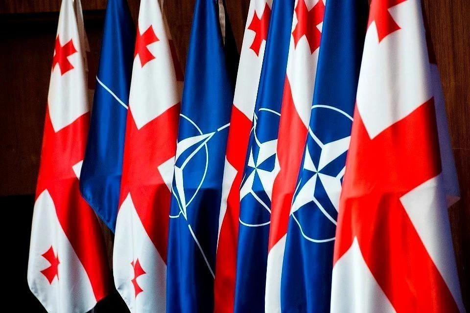 Вопрос вступления Грузии в НАТО пока остается открытым / Фото: kp.ru.
