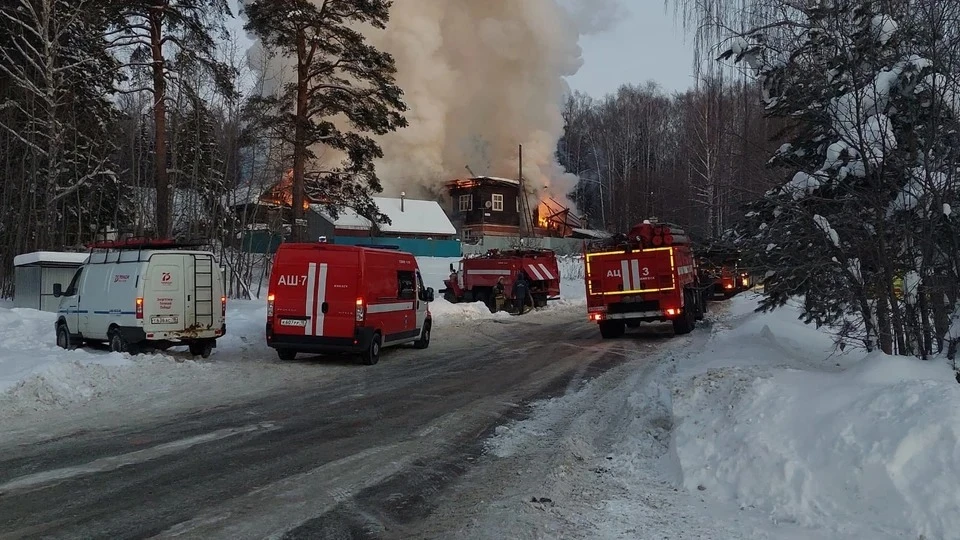 Пожар ликвидировали 33 человека и 10 единиц техники. Фото: МЧС по УР