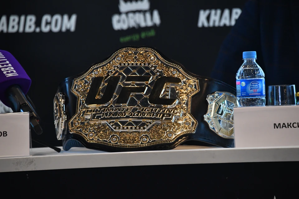Волгоградец победил на турнире UFC Vegas 46