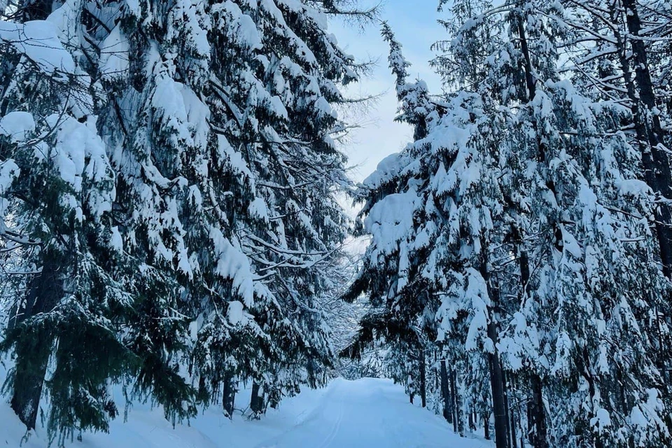 Знакомства для секса в Углегорске