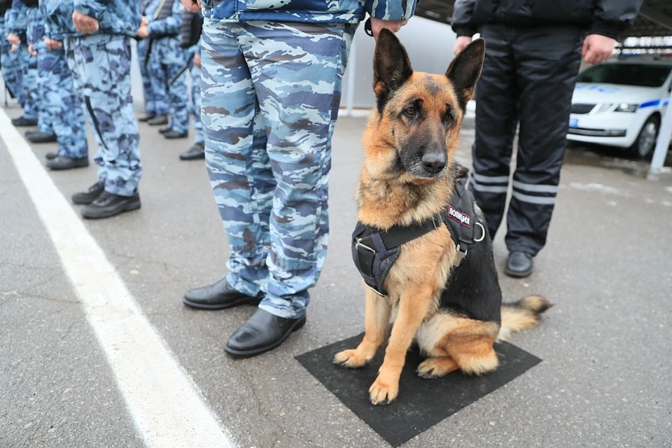 Взрывных устройств найдено не было. Фото: Администрация Волгоградской области.