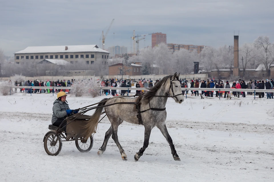 Красноярскому ипподрому более 100 лет