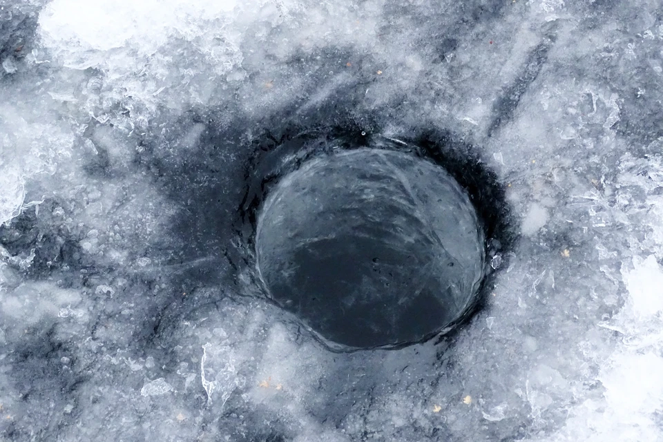 Рыбе и другим обитателям водоемов Липецкой области не хватает кислорода
