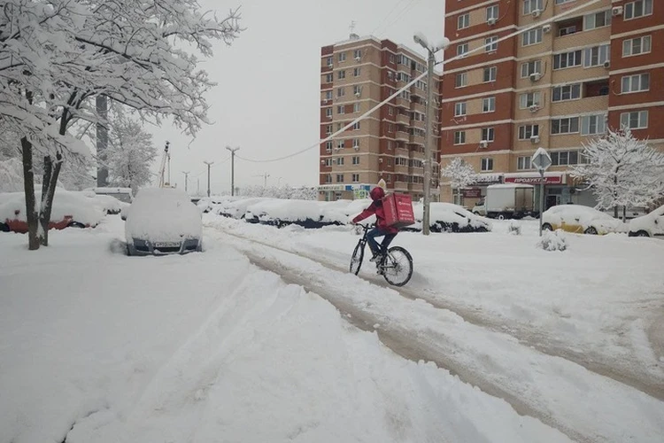 Повалены столбы, не ходит транспорт и закрыт аэропорт: последствия мощнейшего снегопада в Краснодарском крае