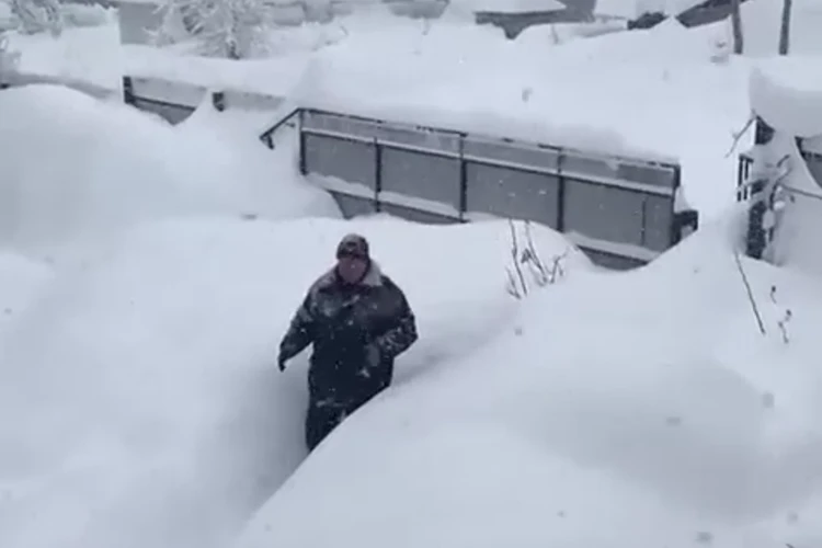 Снежный апокалипсис: Краснодар бьет рекорды, а в Туапсе сугробы - с человеческий рост