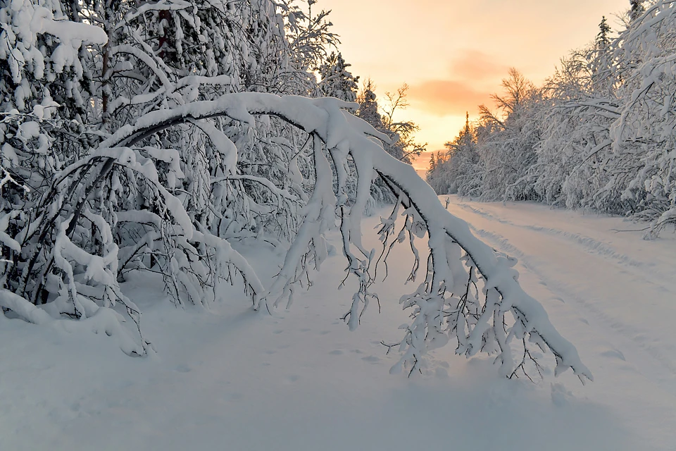 24 января в Мурманской области до вечера будет оттепель, которая уже поставила рекорд.