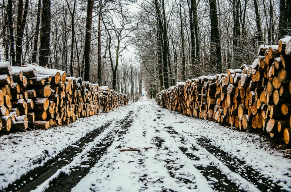 фото с сайта Pixabay.com