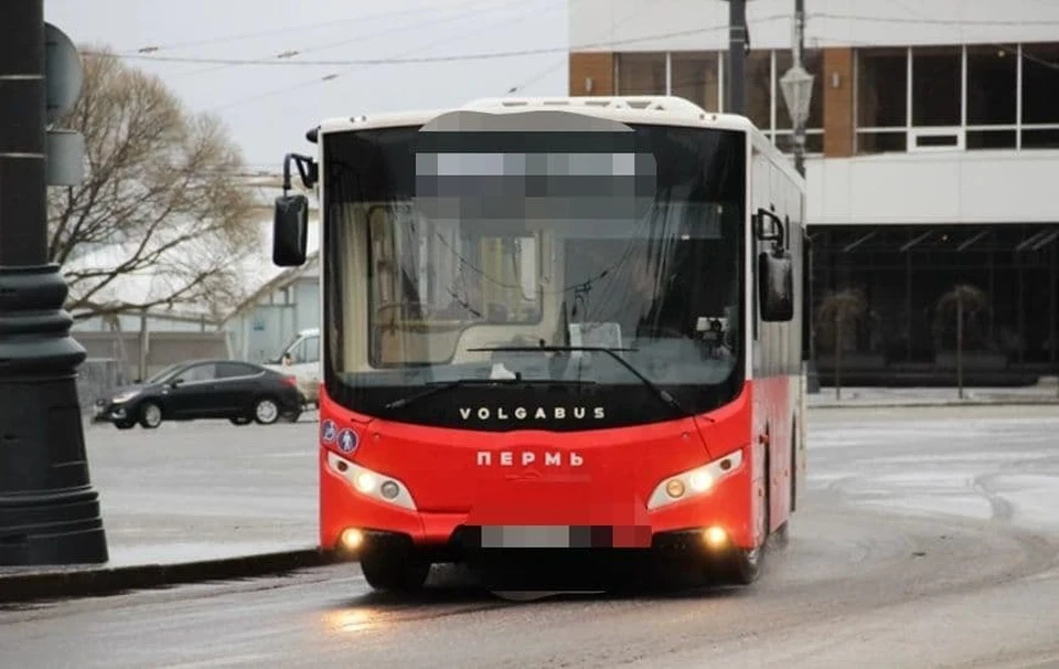 Автобусы идут в объезд перекрестка Пушкина - Компрос.