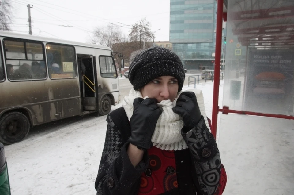В Хабаровске 28 января прогнозируют небольшой снег