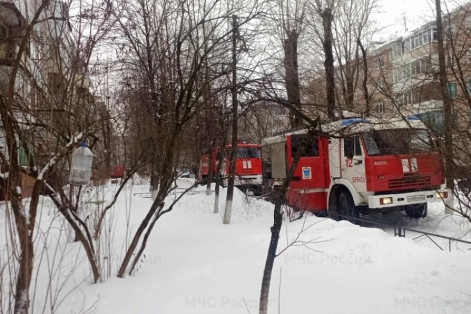 Фото: ГУ МЧС России по Брянской области.