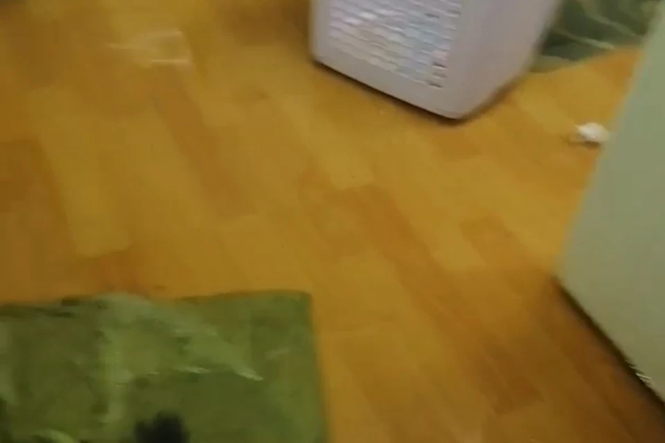 Скриншот с видео